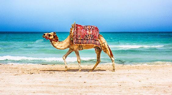 l’île de Djerba