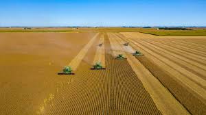 L’agriculture africaine se modernise grâce aux nouvelles technologies